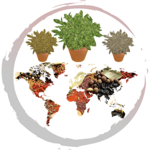 Herbes aromatiques