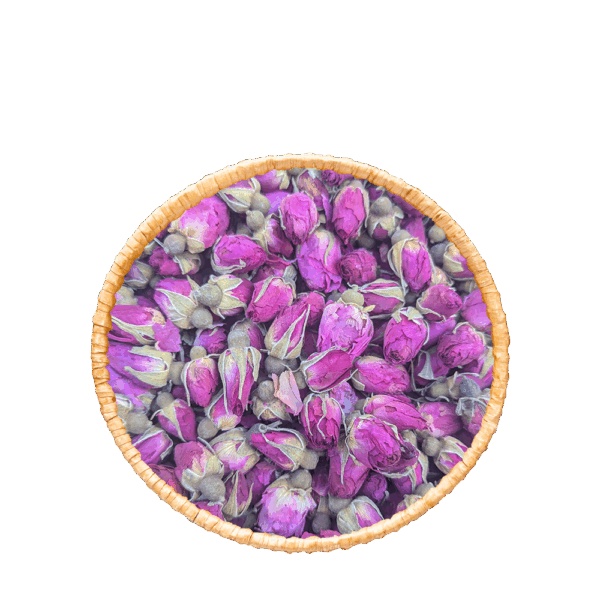 Boutons de Rose de Dalat